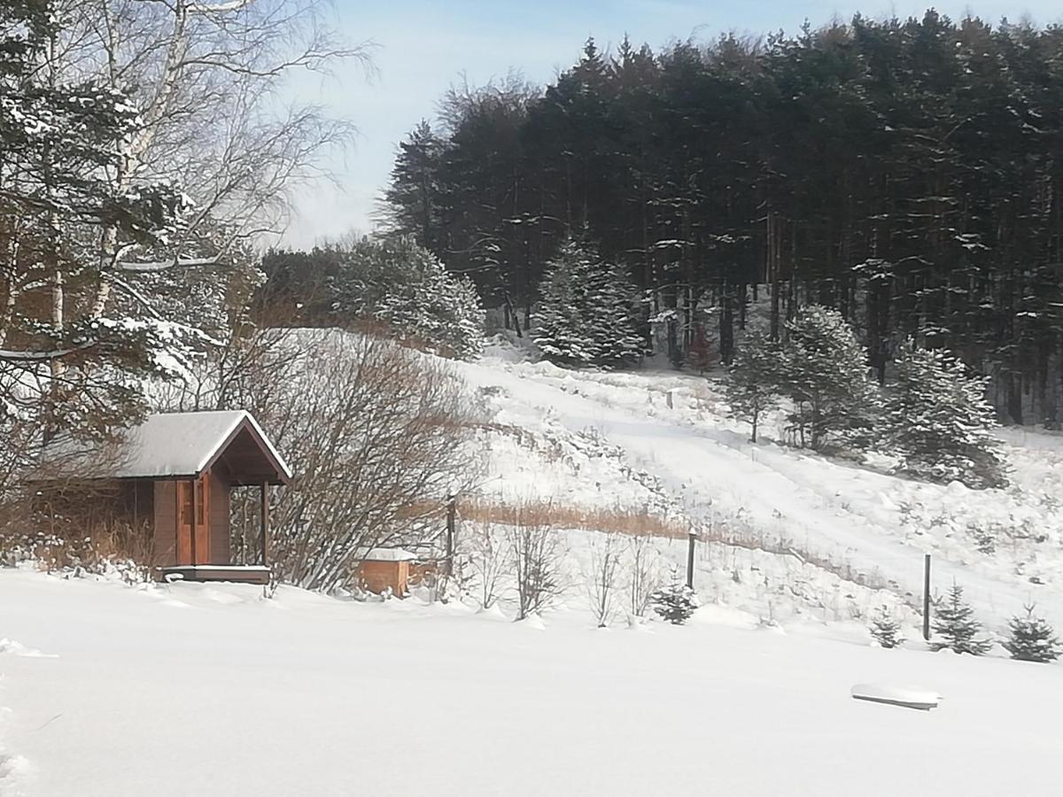 Orlik - Goscinne Homestay Uscie Gorlickie