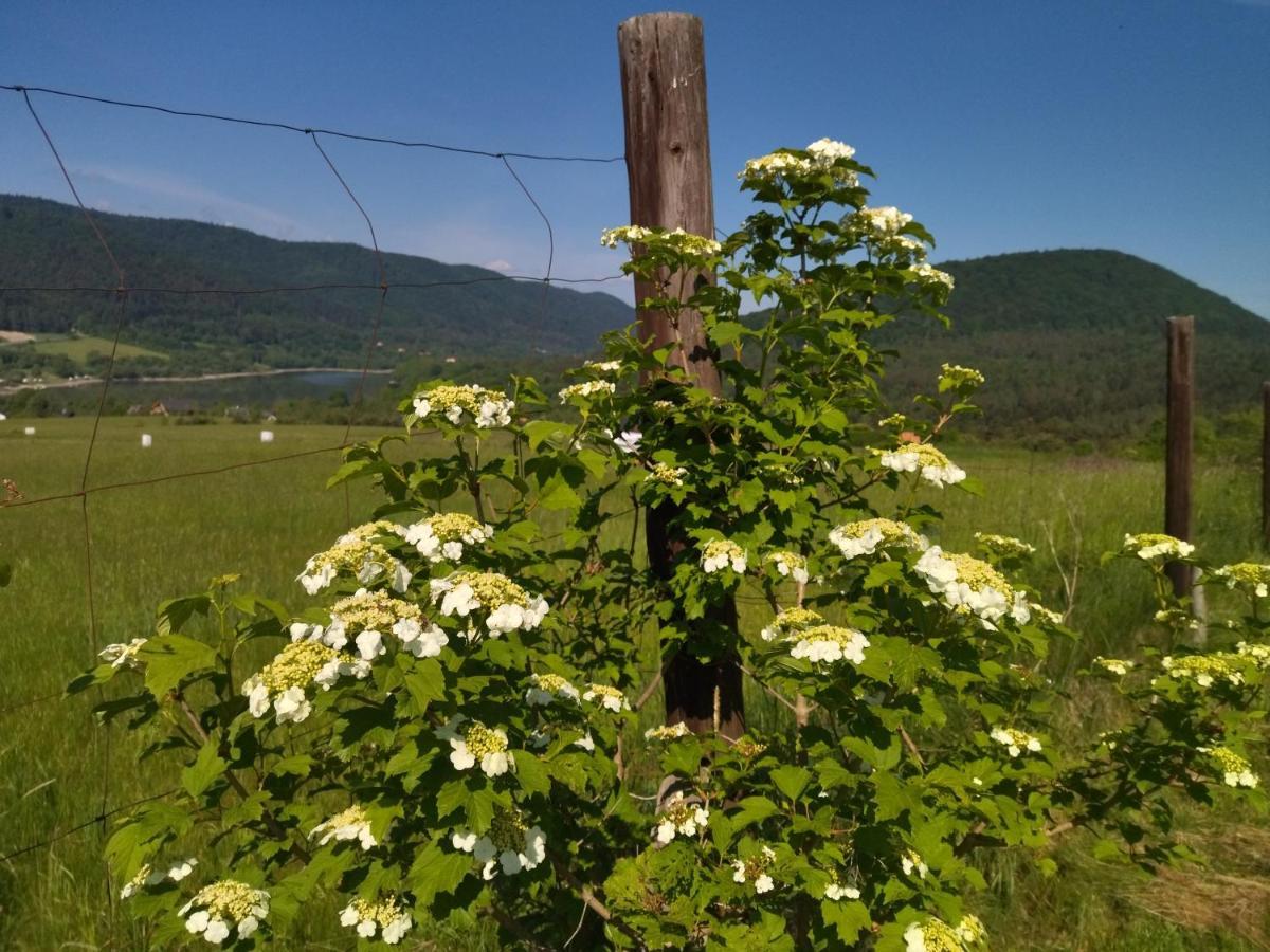 Homestay Orlik - Goscinne