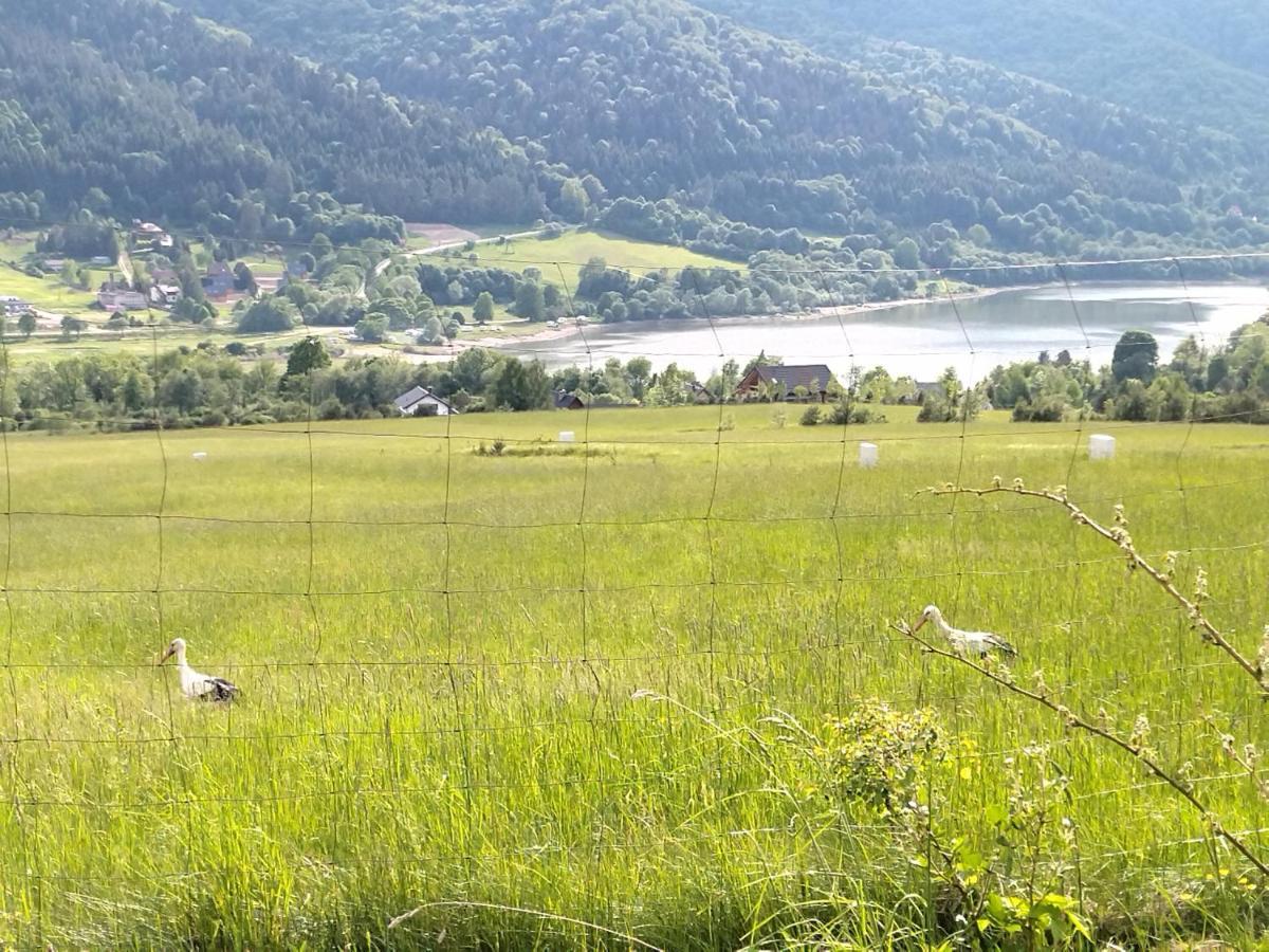 Homestay Orlik - Goscinne