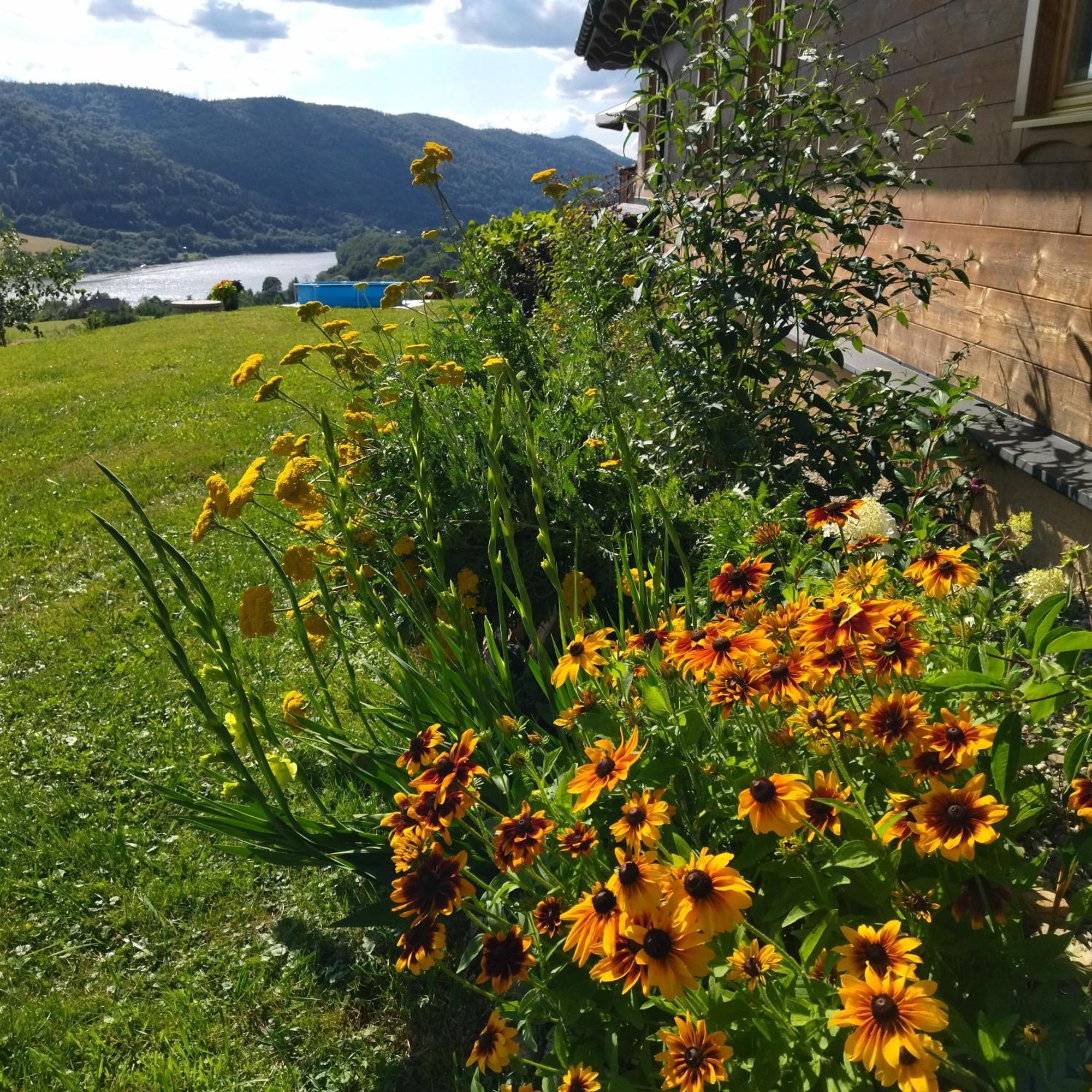 Orlik - Goscinne Homestay Uscie Gorlickie