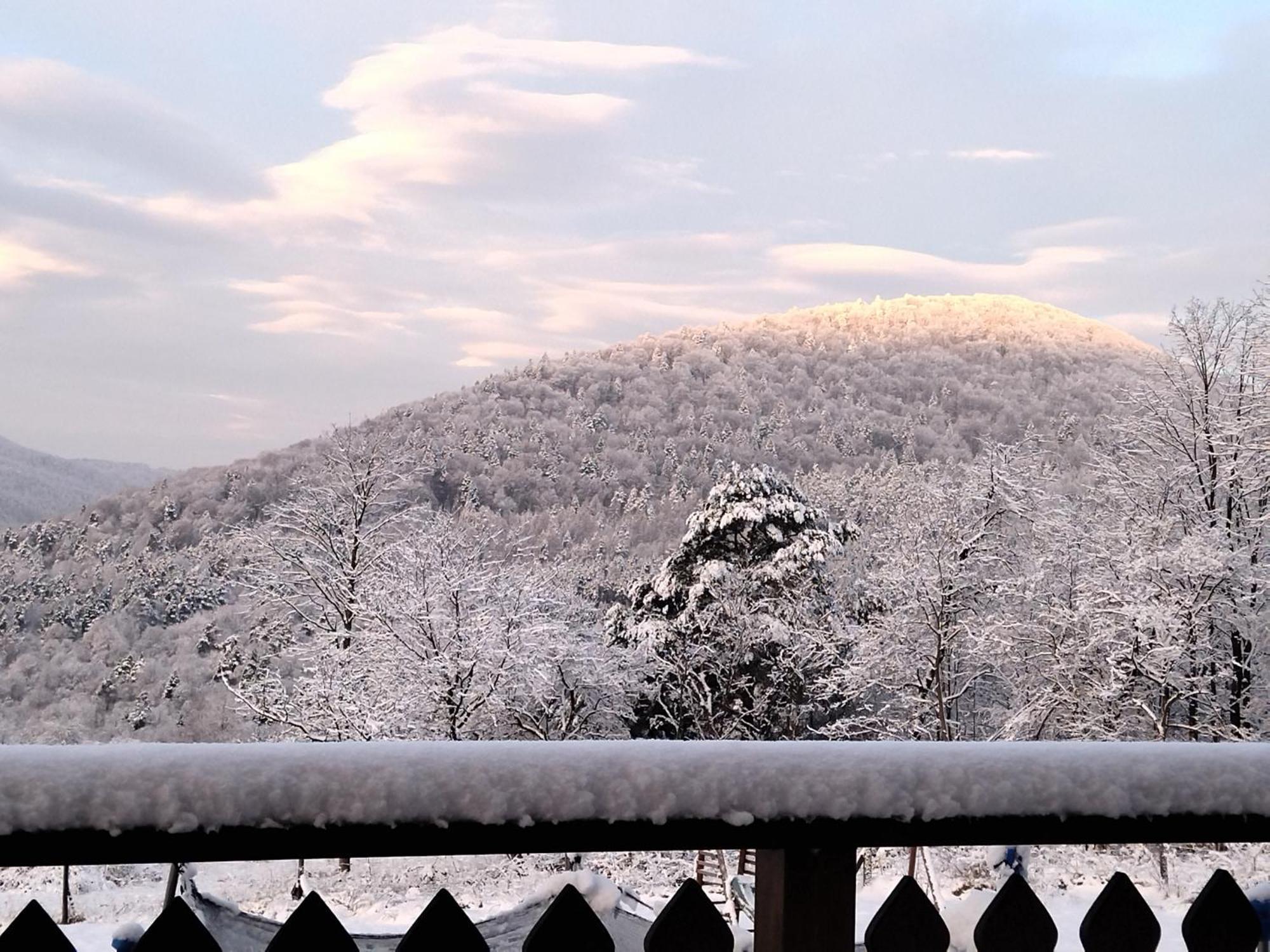 Homestay Orlik - Goscinne