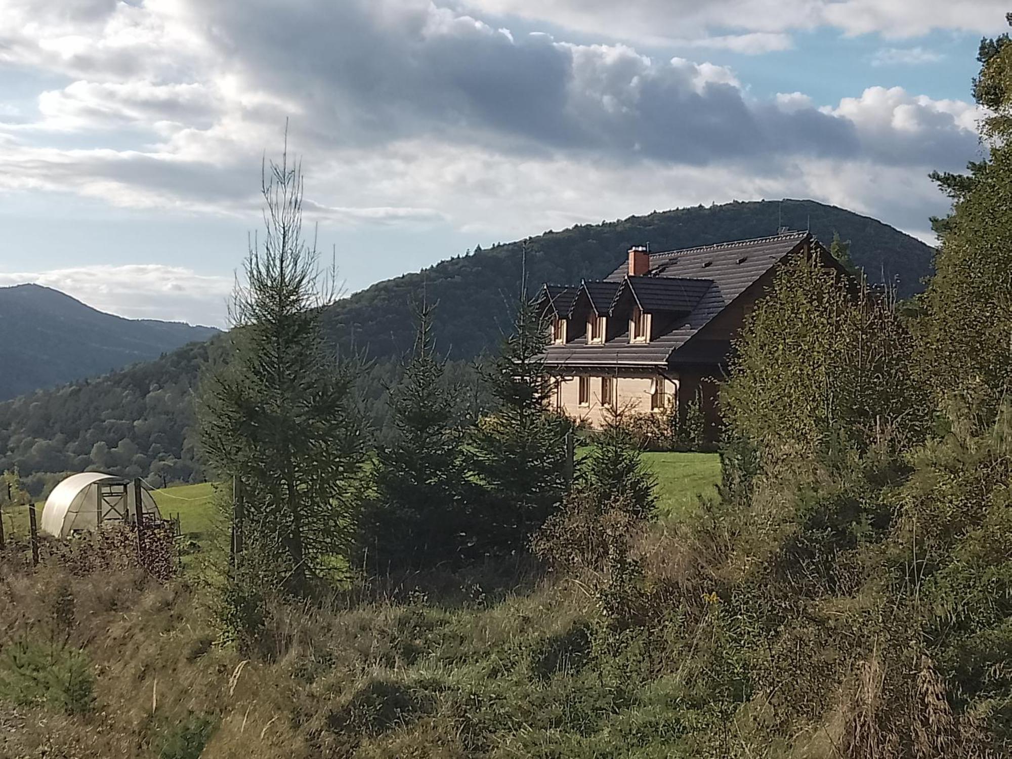 Orlik - Goscinne