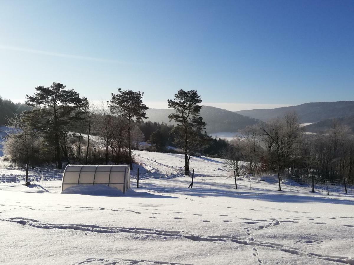 Orlik - Goscinne Uscie Gorlickie