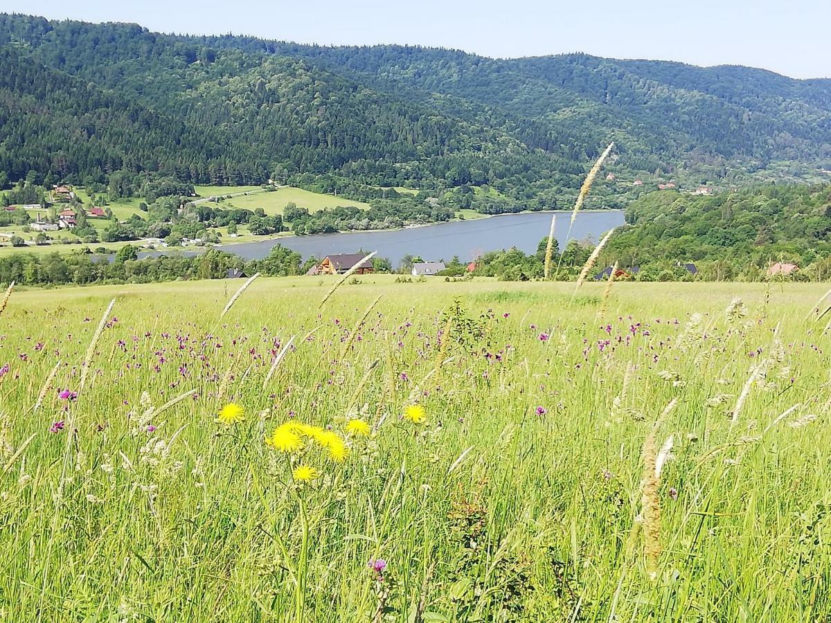 Orlik - Goscinne Homestay Uscie Gorlickie